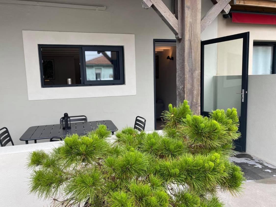 Appartement Du Centre La Teste-de-Buch Eksteriør billede